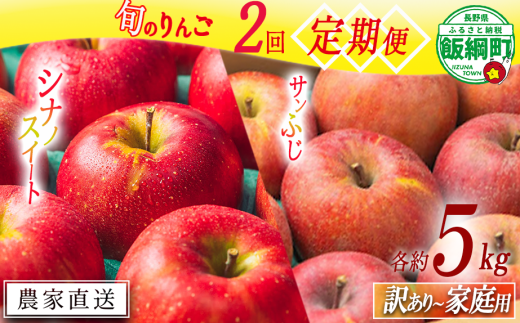 旬のりんご 【 定期便 】 家庭用 〜 訳あり 5kg × 2回 エバラ農園 減農薬栽培 沖縄県への配送不可 2025年10月中旬頃から2025年11月下旬頃まで順次発送予定 令和7年度収穫分 長野県 飯綱町 [1881] 1355474 - 長野県飯綱町