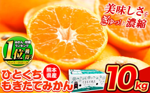 【2025年先行予約】訳あり みかん ひと