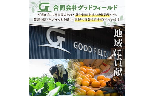 合同会社グッドフィールド
