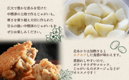 【先行予約】上原農場直送　じゃがいも（北あかり） 10kg【S～2Lサイズ混合】