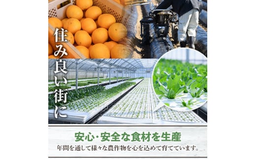 安心・安全な食材