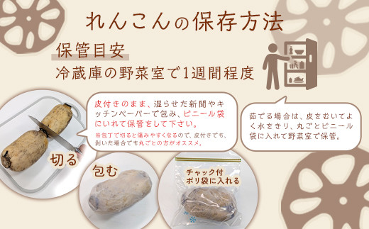 大口れんこん生産組合のみなさん