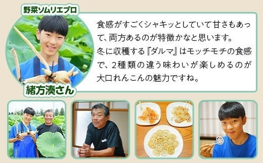 「大口れんこん」は、なんといっても食感が抜群！