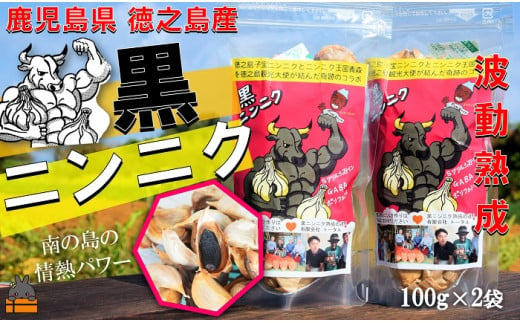 2333 こだわりの波動熟成！ 鹿児島県徳之島産黒ニンニク（100g×2袋）   ( にんにく ニンニク 熟成 GABA ポリフェノール Sアリルシスティン 健康食品 元気 長寿 徳之島 奄美 鹿児島 世界自然遺産 奄美海援隊 )