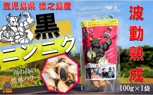 2332 こだわりの波動熟成！ 鹿児島県徳之島産黒ニンニク（100g×1袋）   ( にんにく ニンニク 熟成 GABA ポリフェノール Sアリルシスティン 健康食品 元気 長寿 徳之島 奄美 鹿児島 世界自然遺産 奄美海援隊 )