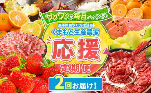 [ 定期便 2回 ]支援 企画 ! くまもと 生産 農家 応援 定期便 ! | 熊本県 熊本 くまもと 和水町 なごみ町 なごみ いちご スイカ 小玉 牛肉 あか牛 赤牛 肥後 ステーキ みかん ミカン 蜜柑 定期便