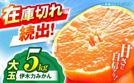 ※【2025年11月発送分／先行予約】伊木力みかん (大玉)5kg / みかん ミカン 蜜柑 柑橘 フルーツ ふるーつ 果物 くだもの / 諫早市 / 山野果樹園 [AHCF007] 2012044 - 長崎県諫早市