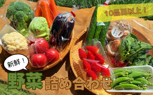 【10品目以上】季節の野菜詰め合わせ＜旬の果物入り！＞