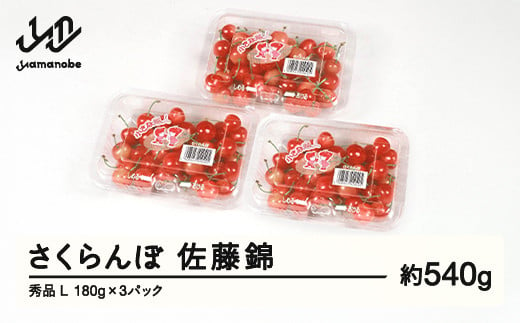 【ふるさと納税】先行予約 さくらんぼ 佐藤錦 秀品 L 約540g 令和7年産 2025年産 山形県産 フルーツ 果物 tf-snpsl540