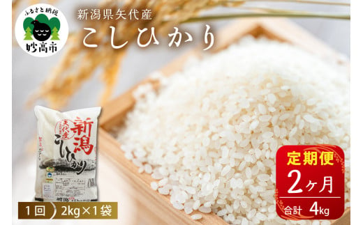 【2025年4月上旬より発送】【定期便】新潟県矢代産コシヒカリ2kg×2回（計4kg）