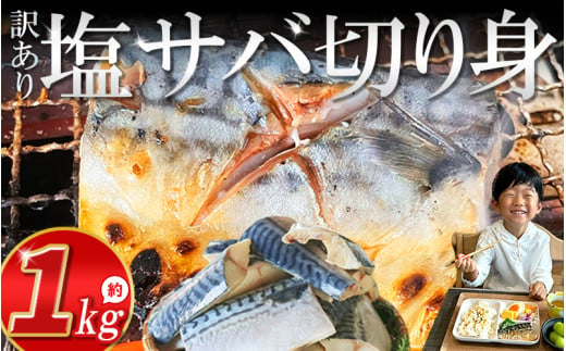 訳あり 塩サバ 切り身 約1kg (約15切前後入り) 冷凍 鯖 塩 さば 魚 さかな 海鮮 海産物 おかず サバ 鯖ご飯 おすすめ 人気 さば サバ  鯖 魚 魚介 海鮮 惣菜 塩サバ 塩鯖 焼き鯖 サバ 焼きさば 焼さば 減塩  塩 鯖 さば サバ おすすめ 人気 ふるさと納税 鯖 サバ さば ふるさと納税さば 愛知県南知多町 南知多 株式会社 山太 さば 鯖 人気 おすすめ 愛知県 南知多町