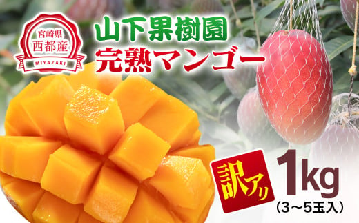 【山下果樹園】ご家庭用完熟マンゴー 1kg 3~5個 アップルマンゴー  宮崎県西都産 生産者直送【先行予約】＜1.5-25＞宮崎マンゴー 2011883 - 宮崎県西都市