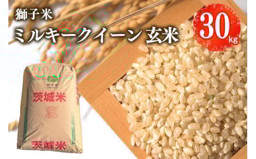 【令和7年産】獅子米 ミルキークイーン 玄米 30kg お米 米 おこめ ブランド米 ミルキー 30キロ 国産 単一原料米 コメ こめ ご飯 銘柄米 茨城県産 茨城 産直 産地直送 農家直送 ごはん 家庭用 贈答用 お取り寄せ ギフト 茨城県 石岡市 (B02-008) 1368943 - 茨城県石岡市