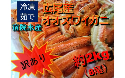 【訳あり】広尾産ボイルオオズワイガニ約2kg（８尾）【かに　カニ　海産物　海鮮　ボイル　オオズワイガニ　北海道】（G0012） 2012052 - 北海道広尾町