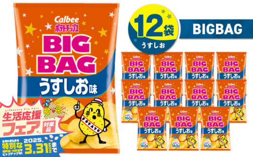 【 期間限定 特別価格 】 カルビー ポテトチップス BIGBAG【うすしお】12袋　K194-002_04 2012763 - 鹿児島県鹿児島市