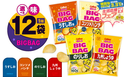 [ 期間限定 特別価格 ][味が選べる!]カルビーポテトチップス(BIGBAG)12袋 K194-002_b