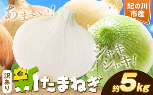 訳あり たまねぎ 新たまねぎ 新 玉ねぎ 紀の川市産 約5kg 不選別《5月下旬-7月中旬頃出荷》和歌山県 紀の川市 送料無料 野菜 玉葱 新玉ねぎ 新たま 旬 お取り寄せ 訳あり野菜