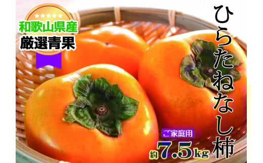 【訳あり・ご家庭用】 たねなし柿(約7.5kg) 【10月上旬~11月上旬発送】 449019 - 和歌山県かつらぎ町