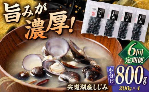 【全6回定期便】宍道湖産 「しじみ」 200g×4 島根県松江市/有限会社ヤマヲ水産 [ALDB022] 2012100 - 島根県松江市