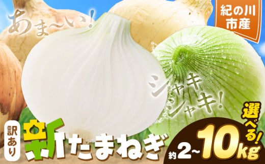 訳あり たまねぎ 新たまねぎ 新 玉ねぎ 紀の川市産 選べる内容量 約2kg 約5kg 約10kg お試し 大容量 不選別[5月下旬-7月中旬頃出荷]和歌山県 紀の川市 送料無料 野菜 玉葱 新玉ねぎ 新たま 旬 お取り寄せ 訳あり野菜 訳あり玉ねぎ 訳あり 玉ねぎ