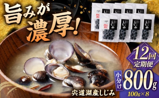 【全12回定期便】宍道湖産 「しじみ」 100g×8 島根県松江市/有限会社ヤマヲ水産 [ALDB019] 2012097 - 島根県松江市
