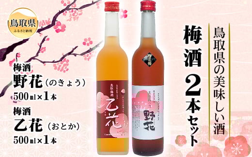 A24-050 鳥取県の美味しい酒　梅酒　2本セットＢ【数量限定】