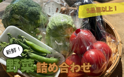 【5品目以上】季節の野菜詰め合わせ