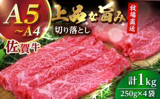 佐賀牛切り落とし 計1kg(250g×4袋)[株式会社佐賀セントラル]