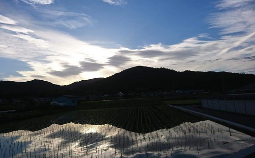 画像はイメージです。