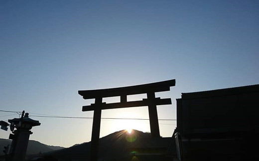 画像はイメージです。