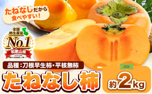 たねなし柿(刀根早生柿・平核無柿)約2kg《2025年9月中旬-11月上旬頃出荷(土日祝除く)》 和歌山県 岩出市 種なし柿 柿 果物 フルーツ 2L~Mサイズ カキ 2140075 - 和歌山県岩出市