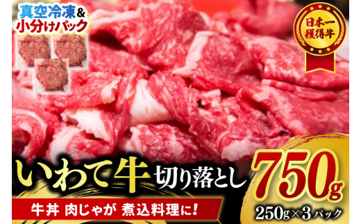 切り落とし 肉 牛肉 小分け 真空冷凍 いわて牛 750g 岩手県産 和牛 牛肉 黒毛 和牛 切り落とし肉 大容量 肉 すき焼き 肉じゃが 煮込み 煮物 赤身 国産牛 小分け 冷凍 数量限定 (AB102)