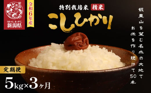 令和6年産 特別栽培米コシヒカリ 定期便 5kg 3ヶ月 減農薬 特栽米 コシヒカリ 米どころ 精米 白米 ご飯 新潟県産コシヒカリ 新発田産 新潟 米 お米 こめ ※ させ農園 新潟県 新発田市 sase007 2008889 - 新潟県新発田市