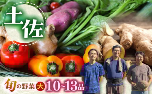 土佐の太陽をいっぱいに浴びた旬の野菜セット「大」【土佐野菜】 [ATBA002] 454228 - 高知県高知市