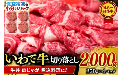 切り落とし 肉 牛肉 小分け 真空冷凍 いわて牛 2000g 岩手県産 和牛 牛肉 黒毛 和牛 切り落とし肉 大容量 肉 すき焼き 肉じゃが 煮込み 煮物 赤身 国産牛 小分け 冷凍 数量限定 (AB108)