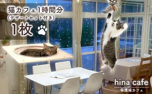 No.201 デザートセットチケット1枚 ／ hinacafe 猫カフェ スイーツ ドリンク 保護猫 遊び 触れ合い 写真撮影 まったり 癒し 山口県