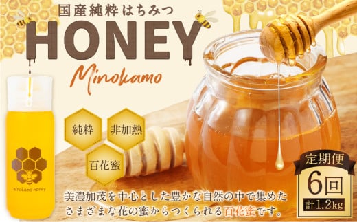 【6ヶ月定期便】国産 無添加 MINOKAMO HONEY はちみつ 1本（200g）×6回 ｜ 藤井養蜂 蜂蜜 非加熱 百花蜜 純粋 定期便 岐阜 1467451 - 岐阜県美濃加茂市