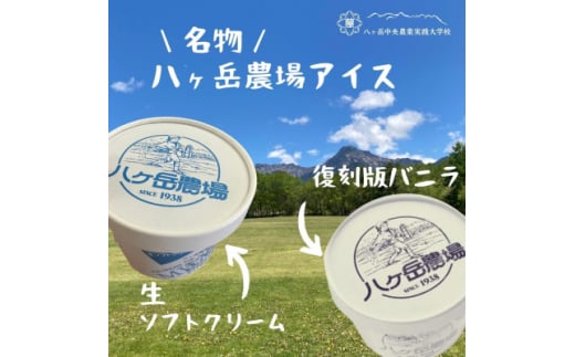 八ヶ岳農場 バニラ&生ソフトクリームアイス 味比べセット　各3個・2種類(合計6個)【1600483】