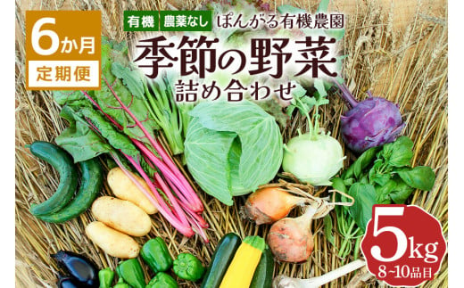 【6か月定期便】定期便 オーガニック 有機 農薬なし ぽんがる有機農園 季節の野菜 詰め合わせ 5kg 【発送時期：5-12月】