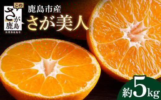 【さが美人 みかん 約5kg】 温州みかん フルーツ 果物 ギフト 贈答 ミカン 蜜柑 柑橘 くだもの 果実 国産 佐賀県 鹿島市 ふるさと 人気 送料無料 【10月下旬～12月頃発送予定】 B-67