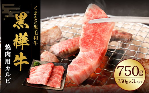 黒樺牛 焼肉用カルビ 750g （250g×3パック） 黒毛和牛 焼き肉 牛肉 冷凍 2013225 - 熊本県湯前町