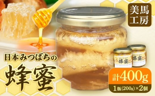 日本みつばちの蜂蜜 200g×2個 計400g 美馬工房 《30日以内に出荷予定(土日祝除く)》 ハチミツ はちみつ 自然採取 2瓶 国産 徳島県 美馬市 st-p