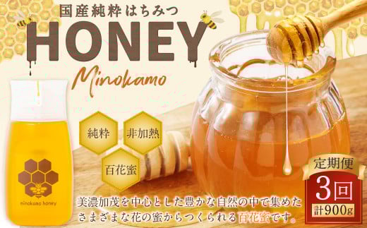 【3ヶ月定期便】国産 無添加 MINOKAMO HONEY はちみつ 1本（300g）×3回 ｜ 藤井養蜂 蜂蜜 ハニー 非加熱 純粋 百花蜜 定期便 岐阜 1467455 - 岐阜県美濃加茂市