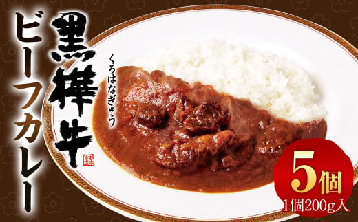 黒樺牛ビーフカレー （200g×5パック） 計1000g レトルト 牛肉 カレー 2013205 - 熊本県湯前町