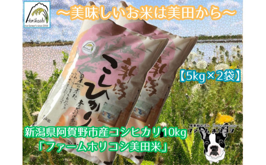 【令和6年産】阿賀野市産 コシヒカリ 「ファームホリコシ美田米」 10kg  白米 精米 3H04023