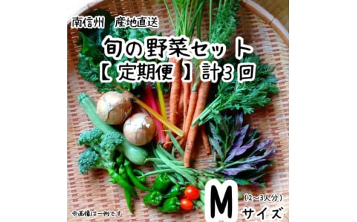 ＜発送月固定定期便＞旬の野菜セット詰め合わせ　Mサイズ 2～3人分全3回【4065189】