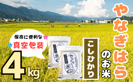 【令和6年産】 「やなぎはらの米」 こしひかり 真空包装 4㎏（慣行栽培米）(6-96A) 2015358 - 長野県飯山市