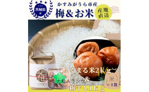 茨城県産『常陸乃梅』　大粒Aランク梅干し　無添加　1Kg　&　ふくまる厳選米　2Kg【1475658】 1187600 - 茨城県かすみがうら市