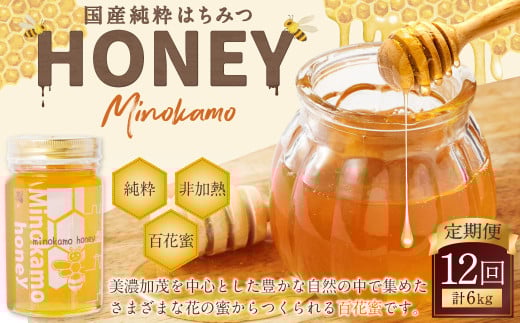 【12ヶ月定期便】国産 無添加 MINOKAMO HONEY はちみつ 1本（500g）×12回｜ 藤井養蜂 蜂蜜 ハニー 純粋 非加熱 百花蜜 定期便 岐阜 1467462 - 岐阜県美濃加茂市