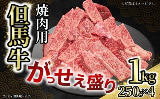 [但馬牛がっせぇ盛り 焼肉用計1kg(250g×4)冷凍]発送目安:入金確認後1ヶ月程度 配送日の指定はできません。 大人気 人気ふるさと納税 返礼品 おすすめ ランキング しゃぶ 牛肉 ステーキ しゃぶしゃぶ すき焼き 焼肉 但馬 神戸 兵庫県 但馬牛 27000円 72-24